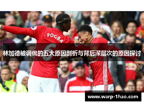 林加德被调侃的五大原因剖析与背后深层次的原因探讨