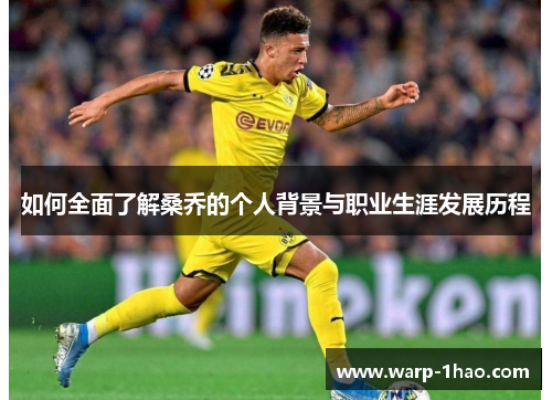 如何全面了解桑乔的个人背景与职业生涯发展历程 如何全面了解桑乔的个人背景与职业生涯发展历程