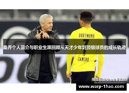 桑乔个人简介与职业生涯回顾从天才少年到顶级球员的成长轨迹