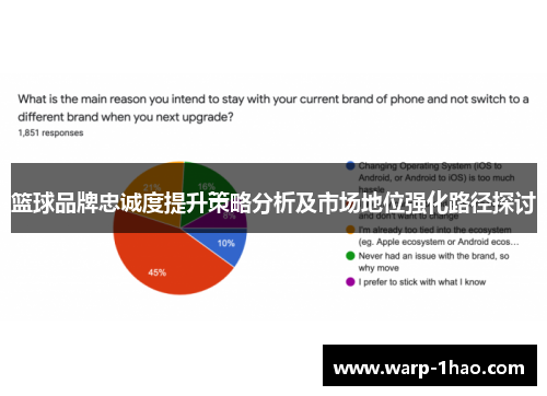 篮球品牌忠诚度提升策略分析及市场地位强化路径探讨