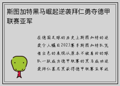 斯图加特黑马崛起逆袭拜仁勇夺德甲联赛亚军 斯图加特黑马崛起逆袭拜仁勇夺德甲联赛亚军